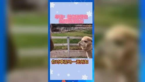 娱乐吃瓜音频,跟随吃瓜音频,探寻明星幕后故事 第2张 娱乐吃瓜音频,跟随吃瓜音频,探寻明星幕后故事 第2张