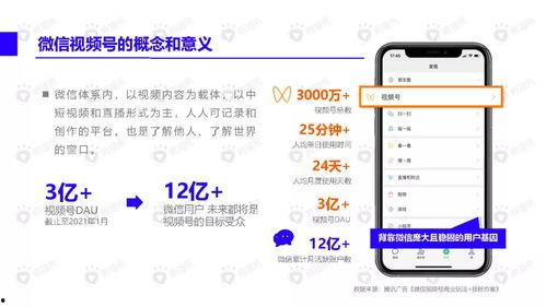 网友爆料薯条视频下载软件,网友爆料下载软件大揭秘 第3张 网友爆料薯条视频下载软件,网友爆料下载软件大揭秘 第3张