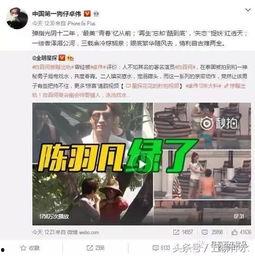 林新夫妇爆料微博视频,家庭生活幕后真相  第2张